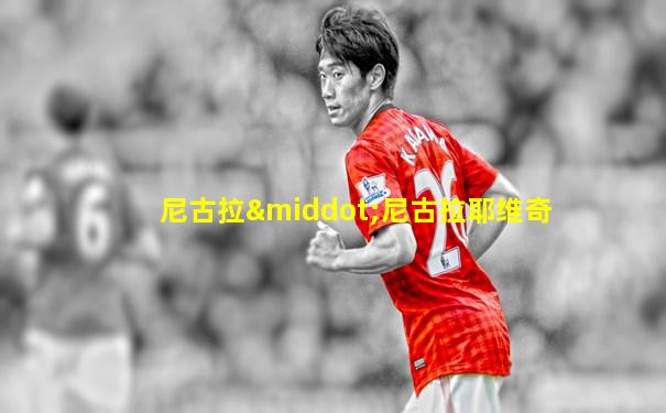 尼古拉·尼古拉耶维奇