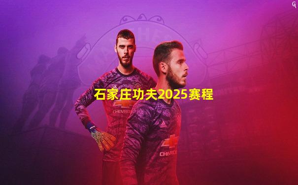 石家庄功夫2025赛程