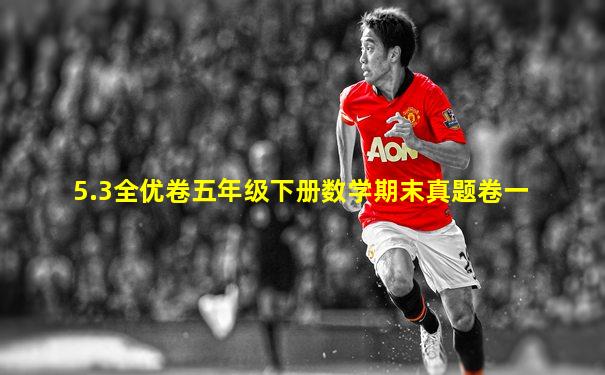 5.3全优卷五年级下册数学期末真题卷一