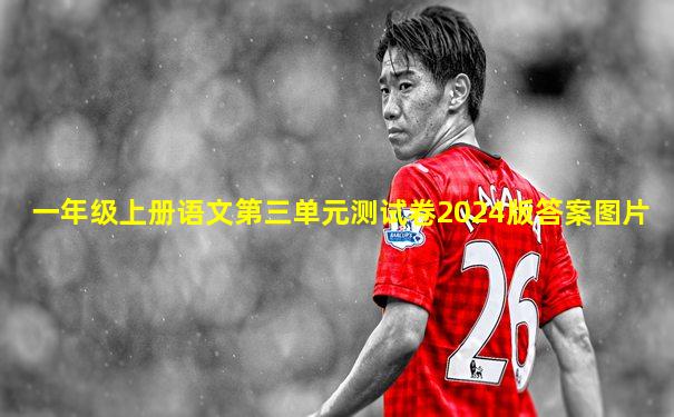 一年级上册语文第三单元测试卷2024版答案图片