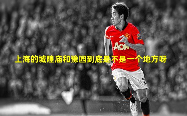 上海的城隍庙和豫园到底是不是一个地方呀