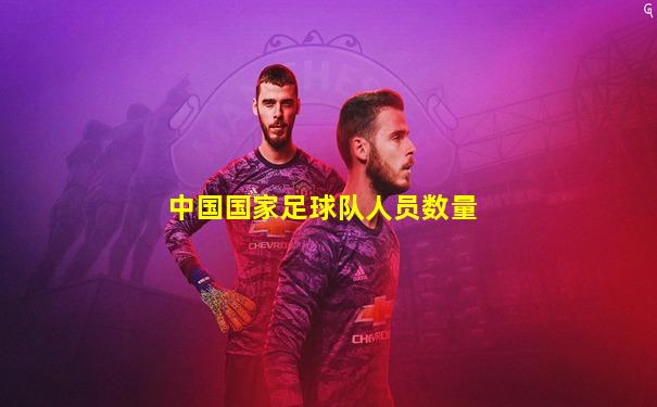 中国国家足球队人员数量