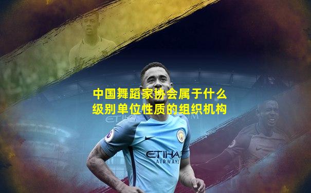 中国舞蹈家协会属于什么级别单位性质的组织机构