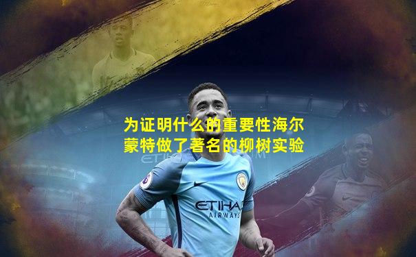 为证明什么的重要性海尔蒙特做了著名的柳树实验