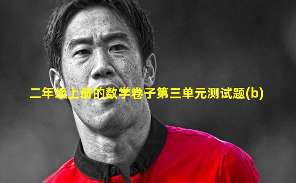 二年级上册的数学卷子第三单元测试题(b)