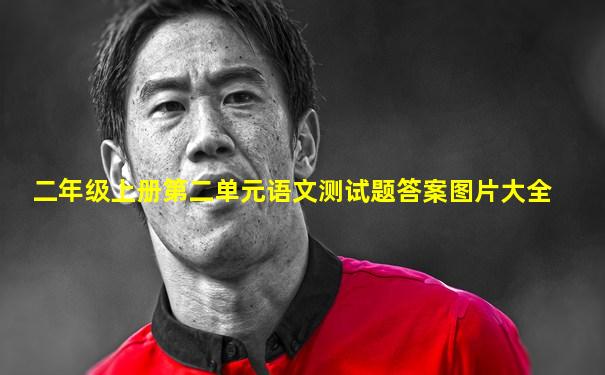 二年级上册第二单元语文测试题答案图片大全