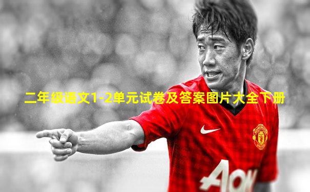 二年级语文1-2单元试卷及答案图片大全下册