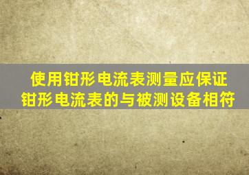 使用钳形电流表测量应保证钳形电流表的与被测设备相符