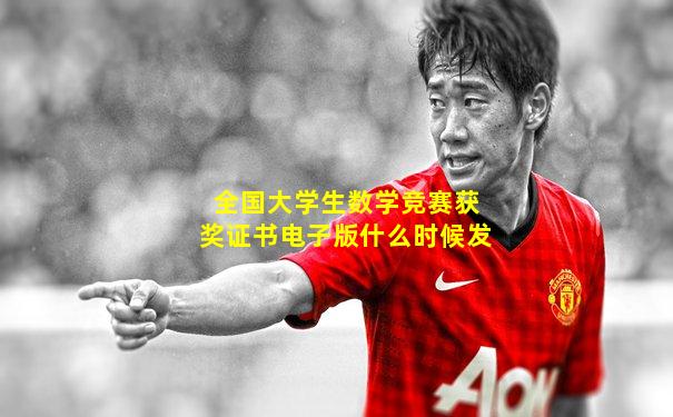 全国大学生数学竞赛获奖证书电子版什么时候发