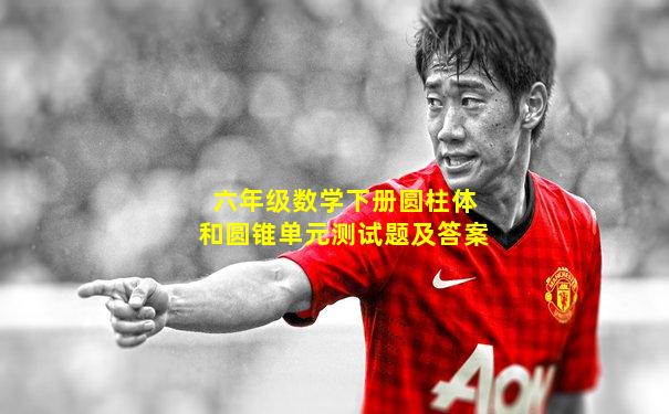 六年级数学下册圆柱体和圆锥单元测试题及答案