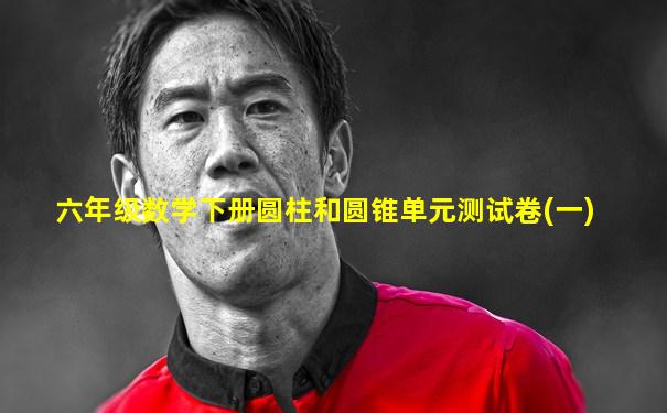 六年级数学下册圆柱和圆锥单元测试卷(一)