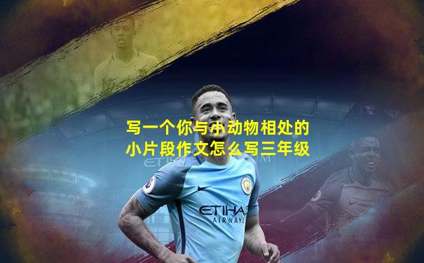 写一个你与小动物相处的小片段作文怎么写三年级