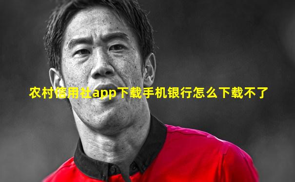 农村信用社app下载手机银行怎么下载不了