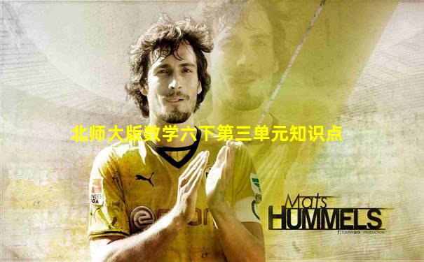 北师大版数学六下第三单元知识点