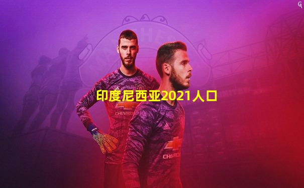 印度尼西亚2021人口