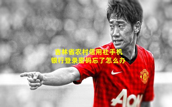 吉林省农村信用社手机银行登录密码忘了怎么办
