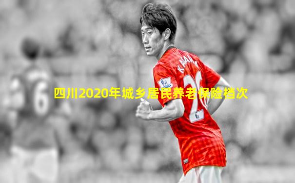 四川2020年城乡居民养老保险档次