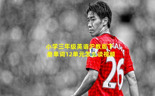 小学三年级英语沪教版下册单词12单元怎么读视频