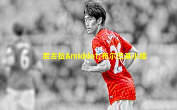 尼古拉·布尔巴基小组