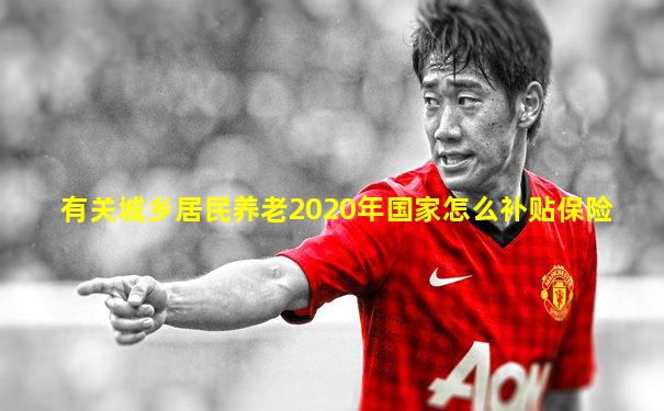 有关城乡居民养老2020年国家怎么补贴保险