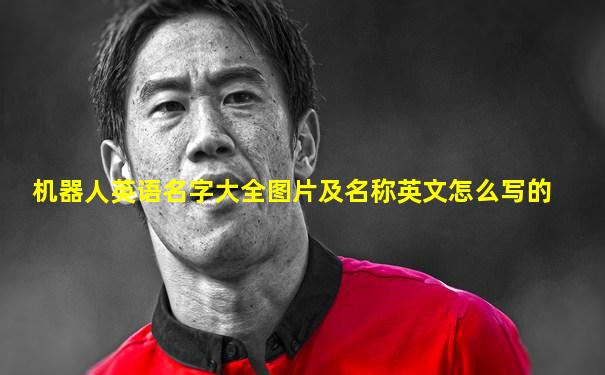 机器人英语名字大全图片及名称英文怎么写的