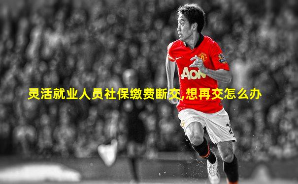 灵活就业人员社保缴费断交,想再交怎么办