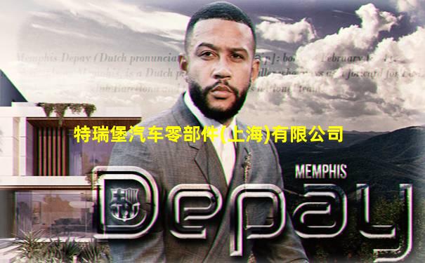 特瑞堡汽车零部件(上海)有限公司