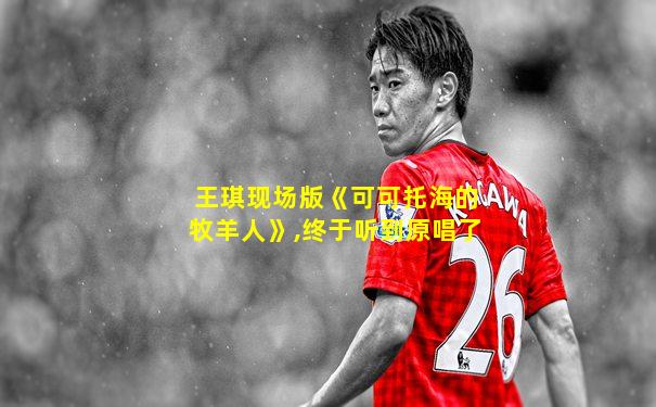 王琪现场版《可可托海的牧羊人》,终于听到原唱了
