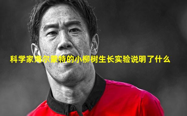 科学家海尔蒙特的小柳树生长实验说明了什么