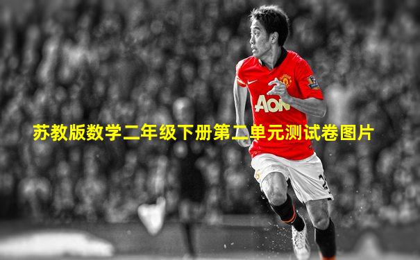 苏教版数学二年级下册第二单元测试卷图片