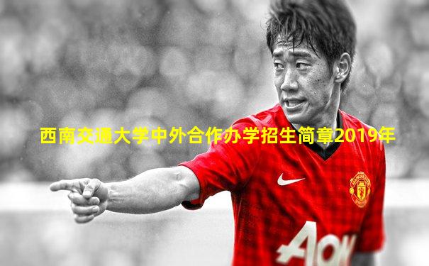 西南交通大学中外合作办学招生简章2019年