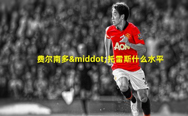 费尔南多·托雷斯什么水平