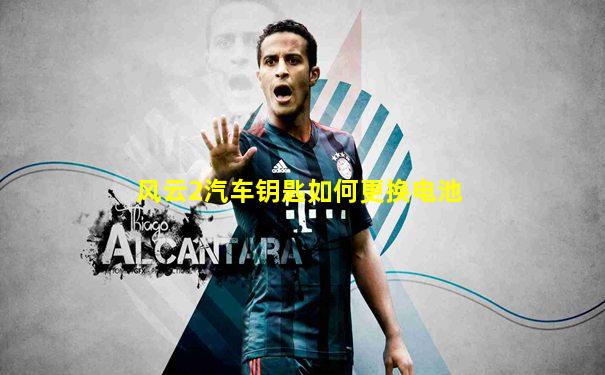 风云2汽车钥匙如何更换电池
